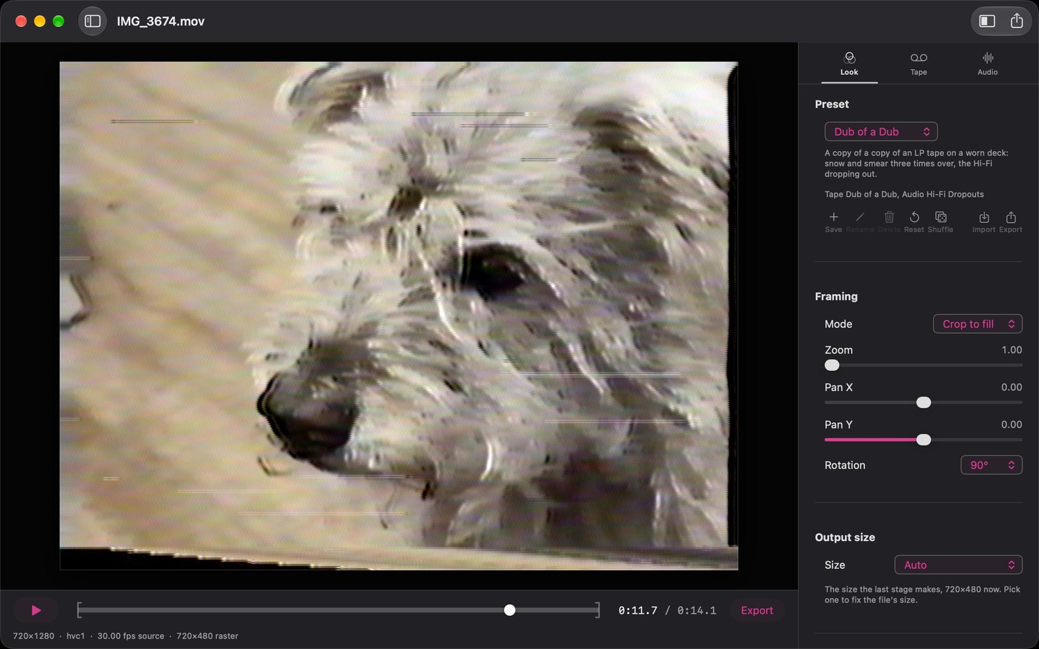 The Home Video window paused on a close shot of a small shaggy dog, a phone clip filling the 4:3 frame, smeared and streaked by the Dub of a Dub Look, with the Look, Framing and Output size controls on the right